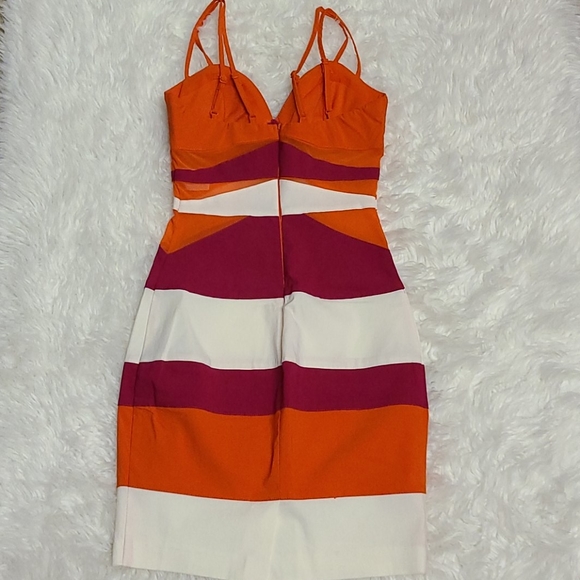 Clothes - Picture 3 of 4